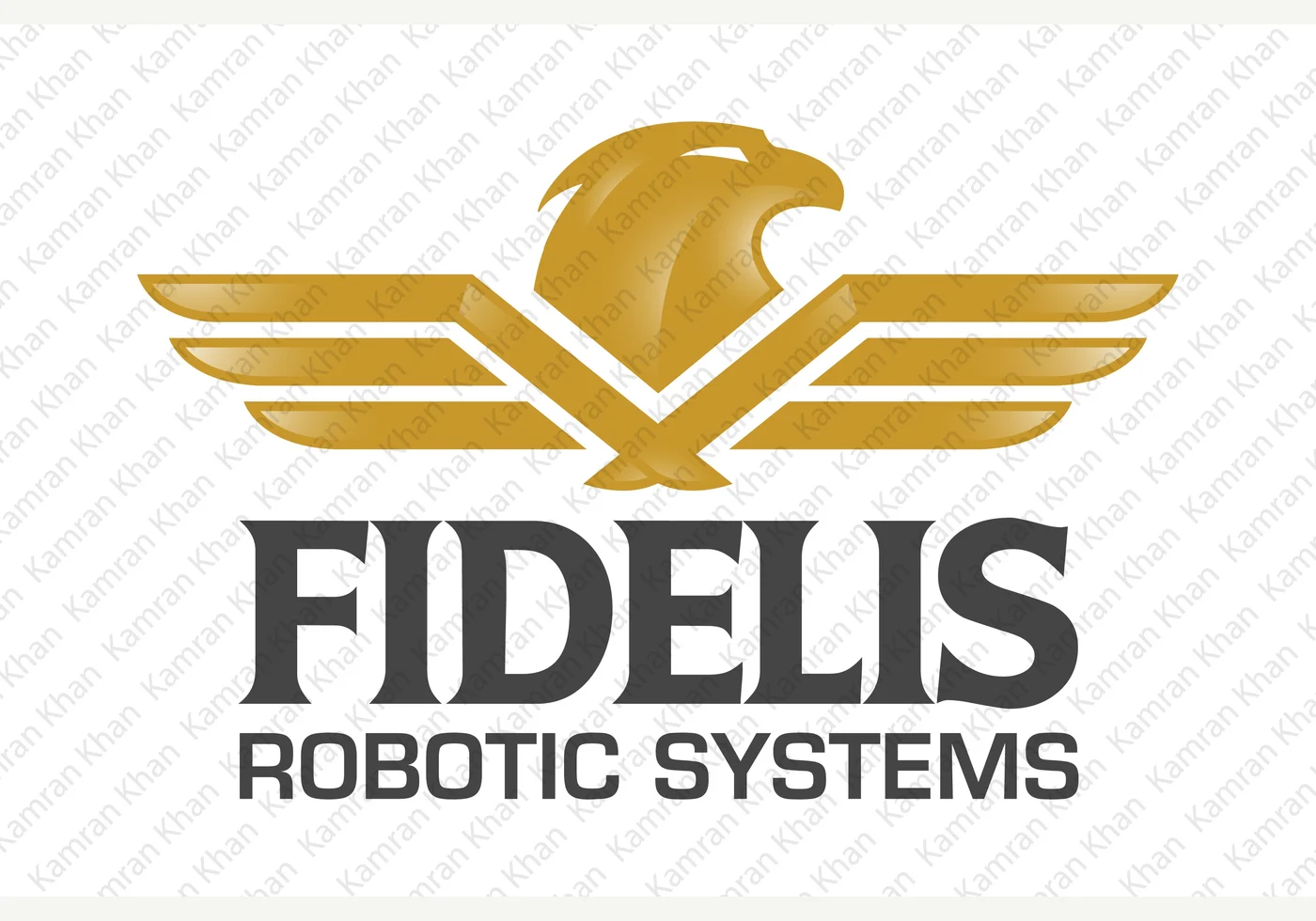 Fidelis Robotic Systems identity design by Kamran Khan